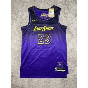 Nike Authentic LA Lakers City Edition Lebron James FQ4346-504 Jersey Men’s Sz S
